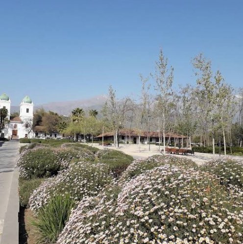 Foto del local de Los Dominicos